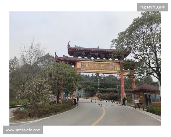 大竹半马竹海之眼山径挑战赛全新开赛 9公里赛道纵览茶竹美景 大竹半马竹海之眼山径挑战赛全新开赛 9公里赛道纵览茶竹美景